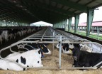 biogas-lecheras