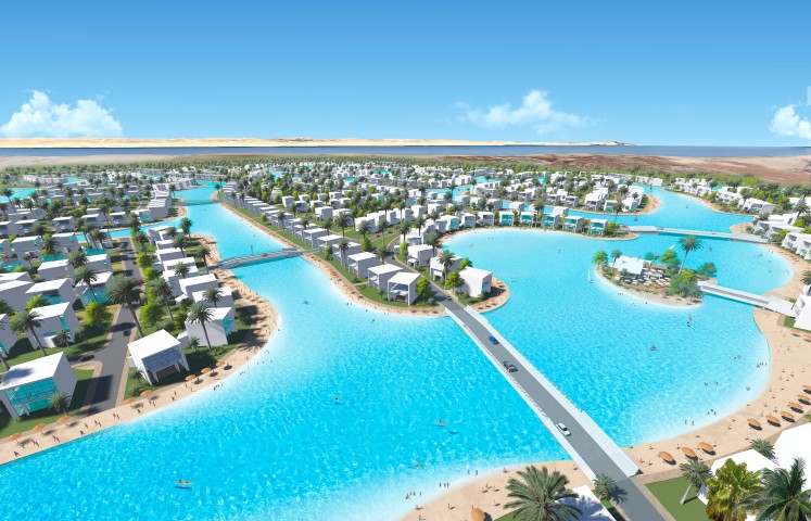 stella di mare (Small)